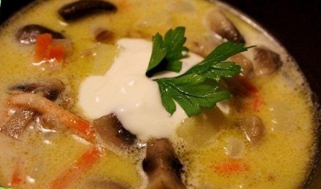 готовый суп с грибами