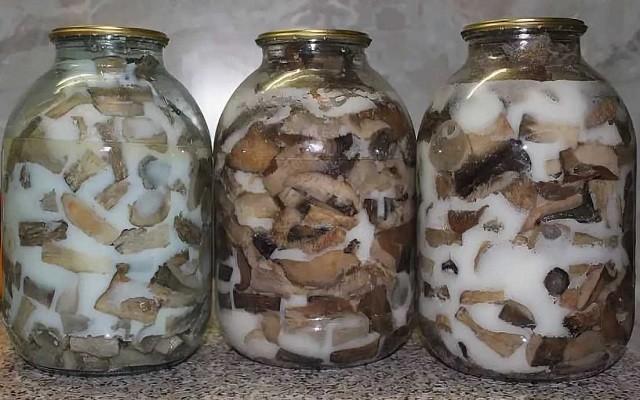Жареные белые грибы